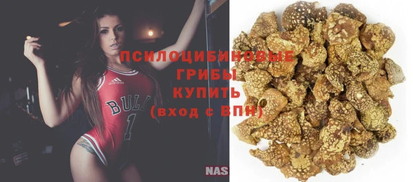экстази Лагань