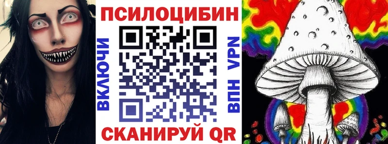 даркнет официальный сайт  Медногорск  Галлюциногенные грибы мицелий  ОМГ ОМГ ссылка 