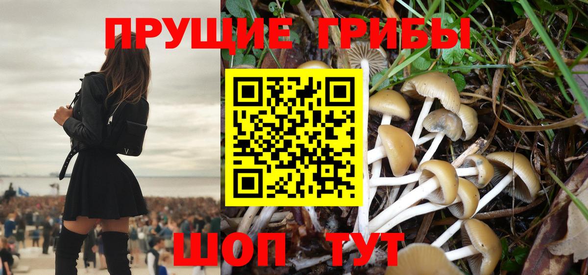 Псилоцибиновые грибы MAGIC MUSHROOMS  Вход с VPN  Медногорск 